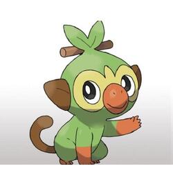 Pokemon Shield