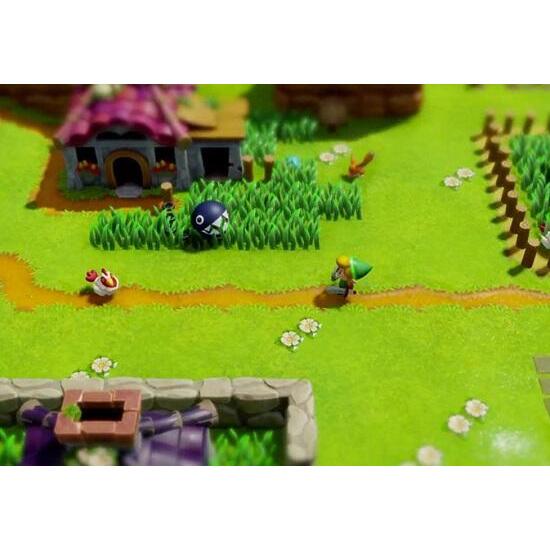 Legend of zelda clearance link's awakening switch