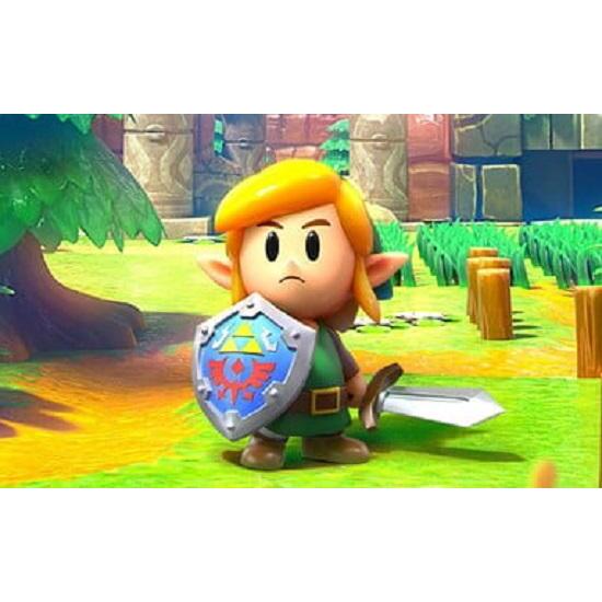 A link's cheap awakening switch